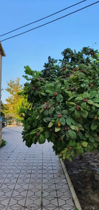 Satılır 5 otaqlı həyət evi 200 m²