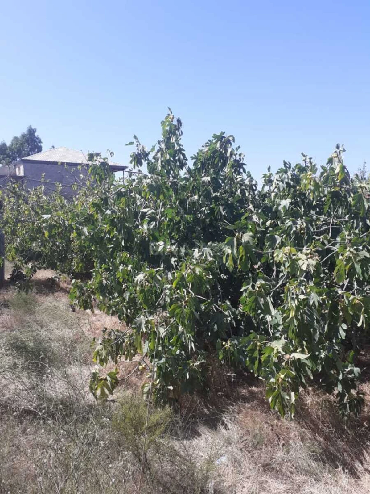 Satılır torpaq sahəsi 15 m²