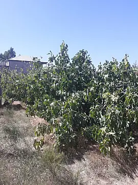 Satılır torpaq sahəsi 15 m²