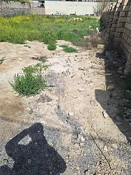 Satılır torpaq sahəsi 8 m²