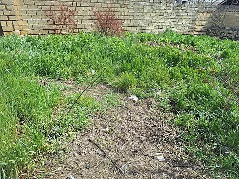 Satılır torpaq sahəsi 8 m² — Bakı, Badamdar 8.00 m²