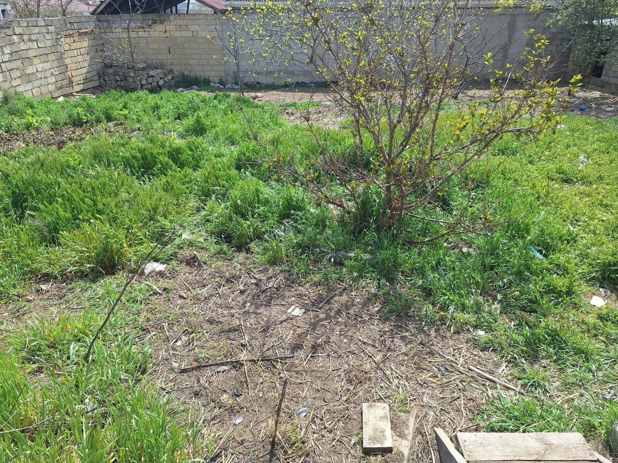 Satılır torpaq sahəsi 8 m²