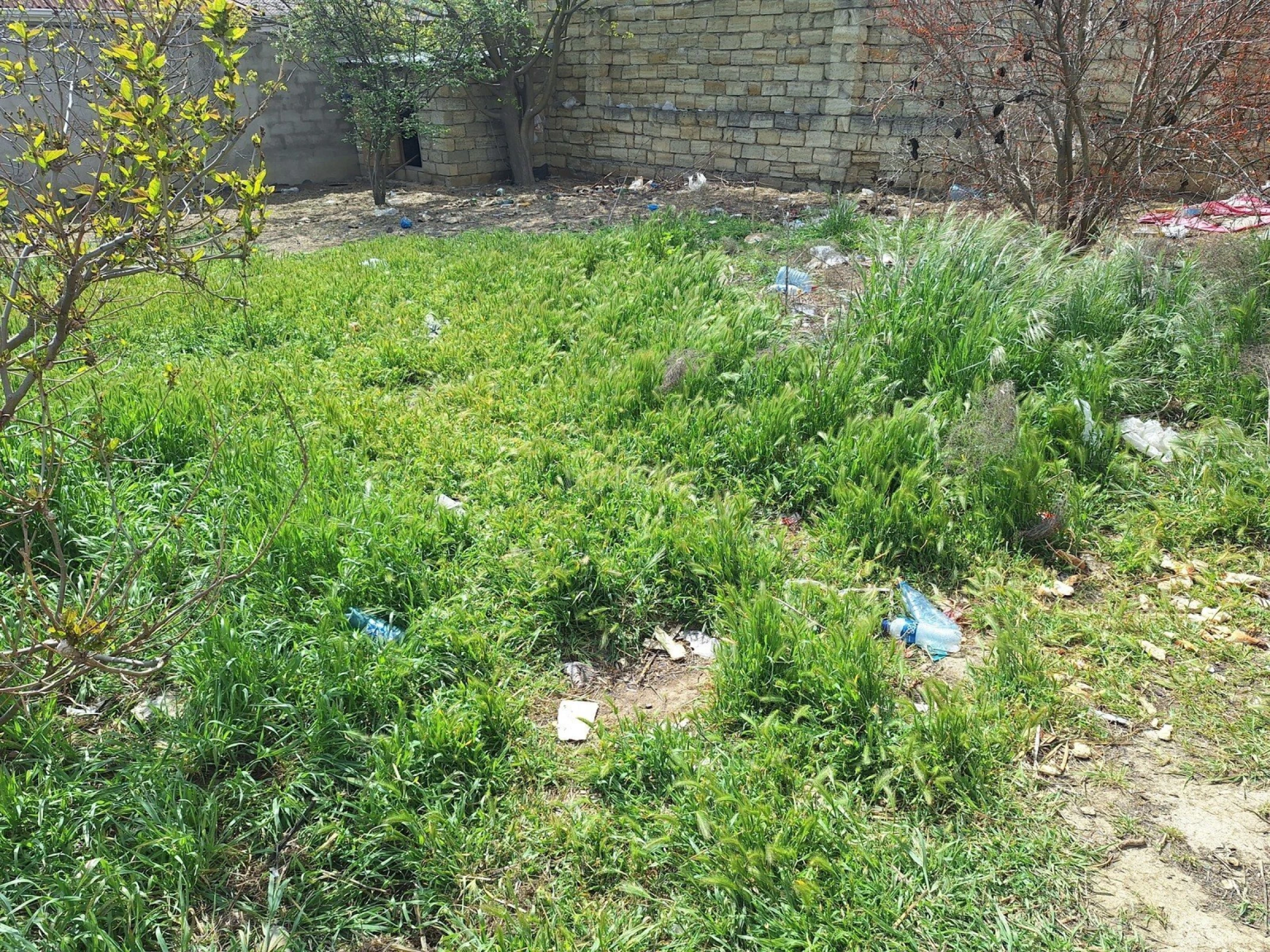 Satılır torpaq sahəsi 8 m²