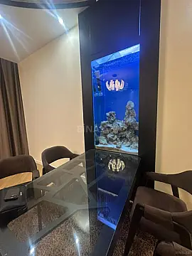 Kirayə verilir 2 otaqlı mənzil 80 m²