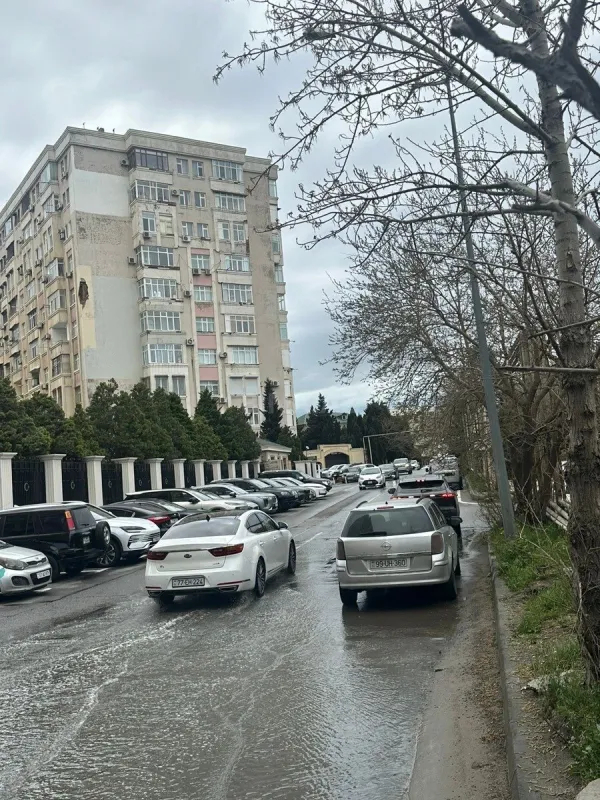 Satılır obyekt 55 m²
