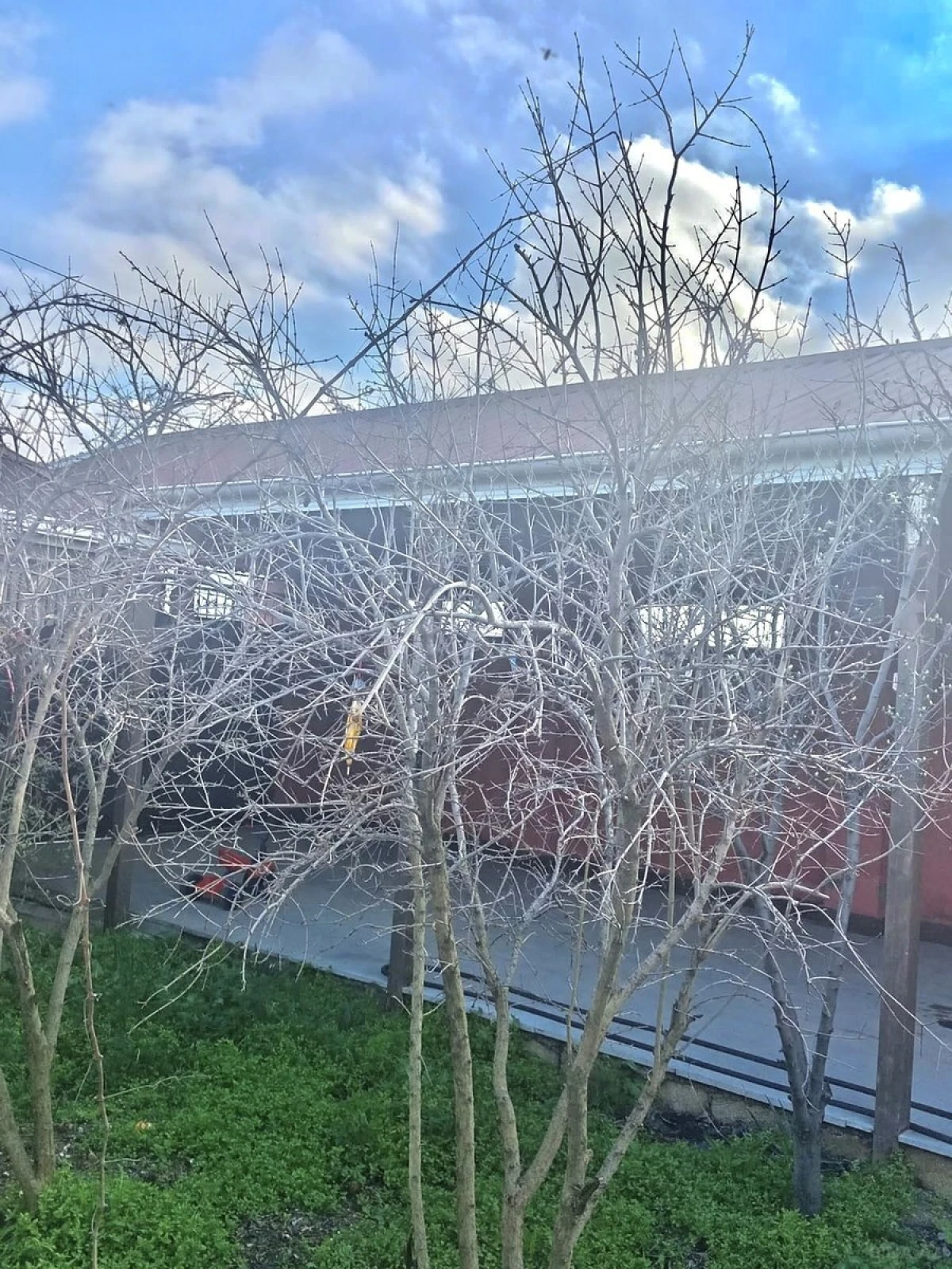 Satılır 4 otaqlı həyət evi 100 m²