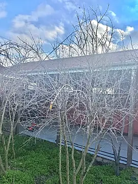 Satılır 4 otaqlı həyət evi 100 m²