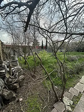 Satılır torpaq sahəsi 3 m²