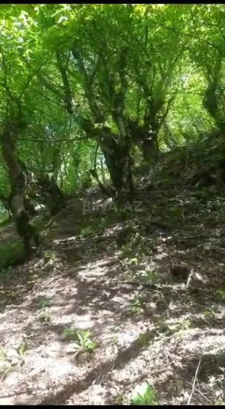 Satılır torpaq sahəsi 20.6 m²