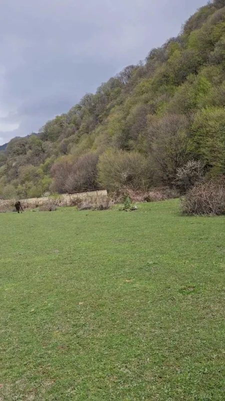 Satılır torpaq sahəsi 20.6 m²