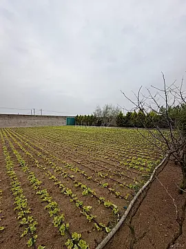 Satılır 3 otaqlı həyət evi 220 m² — Bakı, Türkan 3 otaq 220.00 m²