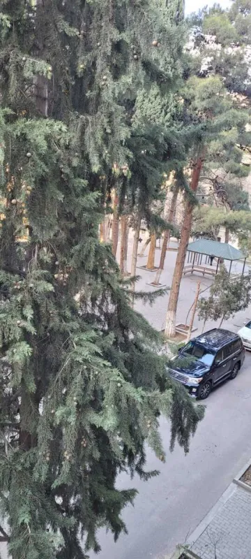 Satılır 3 otaqlı mənzil 85 m²