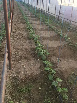 Satılır 5 otaqlı həyət evi 60 m²