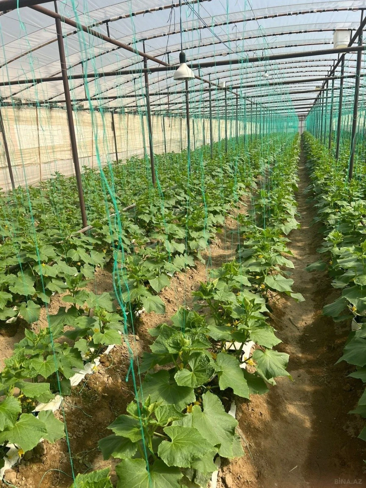 Satılır 5 otaqlı həyət evi 60 m²