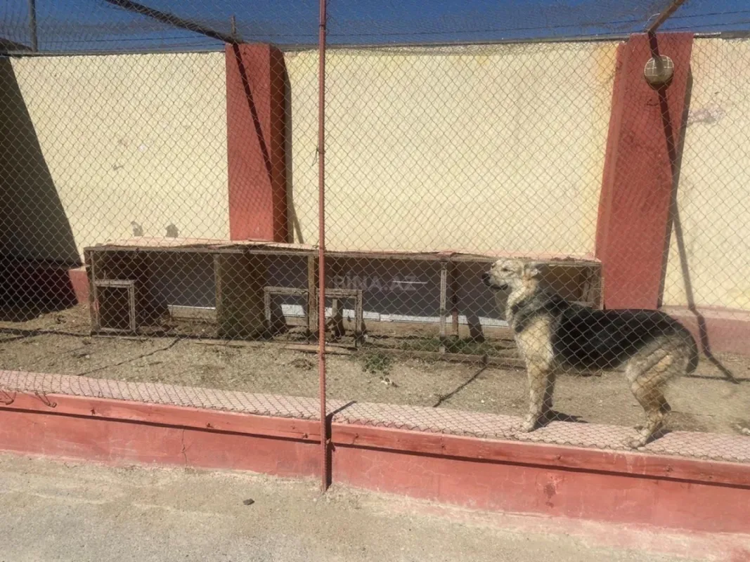 Satılır 5 otaqlı həyət evi 60 m²