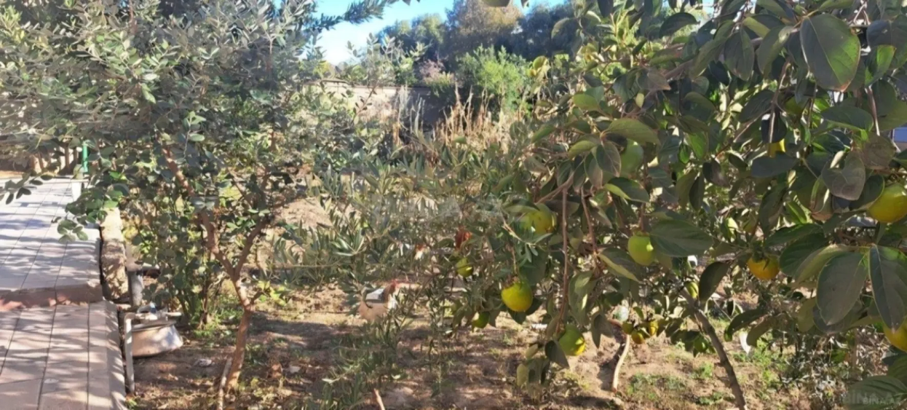 Satılır torpaq sahəsi 9 m²