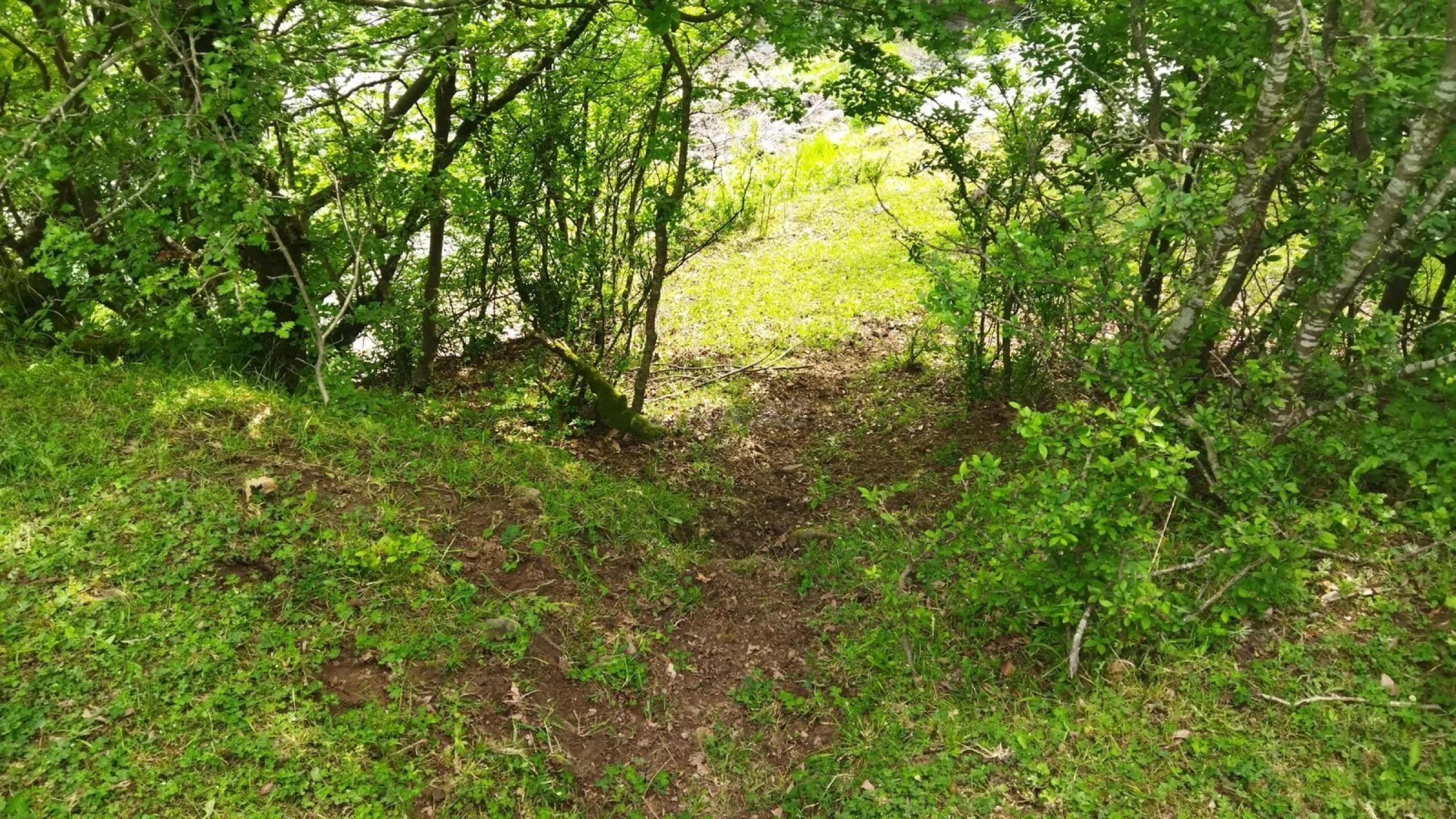 Satılır torpaq sahəsi 40 m²