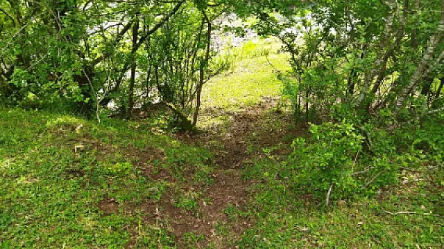 Satılır torpaq sahəsi 40 m²