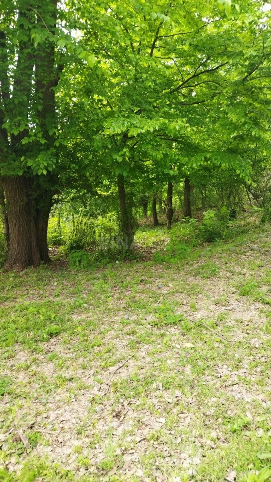 Satılır torpaq sahəsi 40 m²
