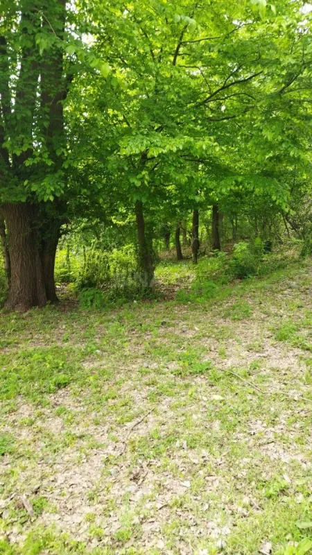 Satılır torpaq sahəsi 40 m²