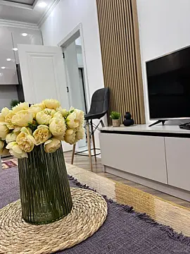 Kirayə verilir 2 otaqlı mənzil 60 m² — Bakı, Nərimanov 2 otaq 60.00 m²