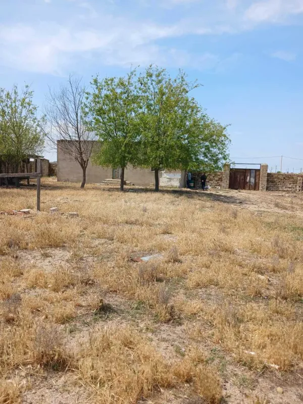 Satılır obyekt 480 m²