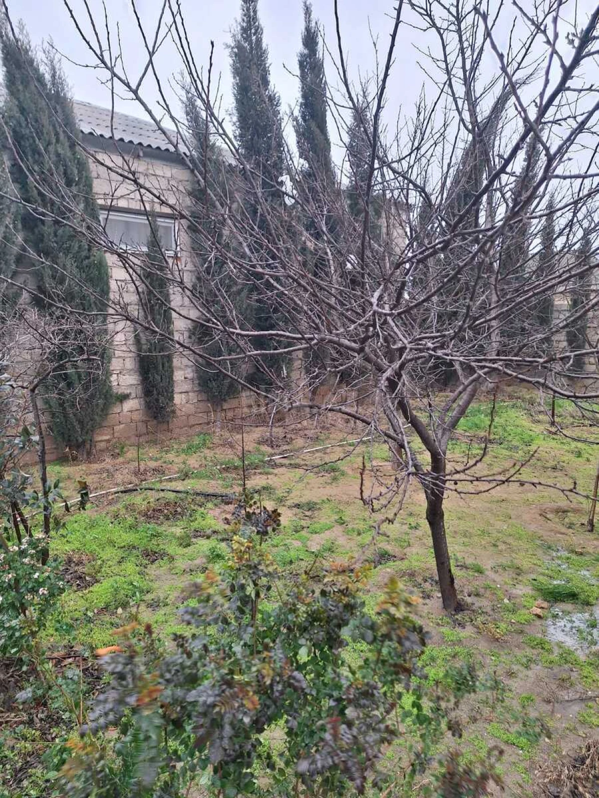 Satılır 5 otaqlı həyət evi 133 m²