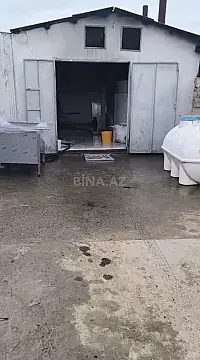 Satılır obyekt 10000 m² — İmişli 10000.00 m²