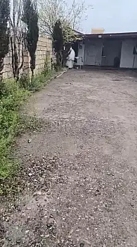 Satılır obyekt 10000 m²