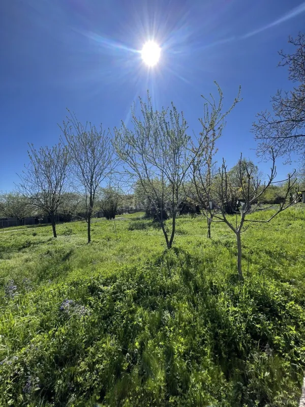 Satılır torpaq sahəsi 7 m²