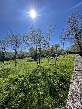 Satılır torpaq sahəsi 7 m²