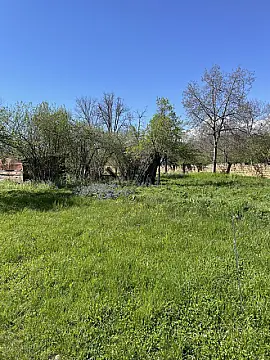 Satılır torpaq sahəsi 7 m² — Qəbələ 7.00 m²