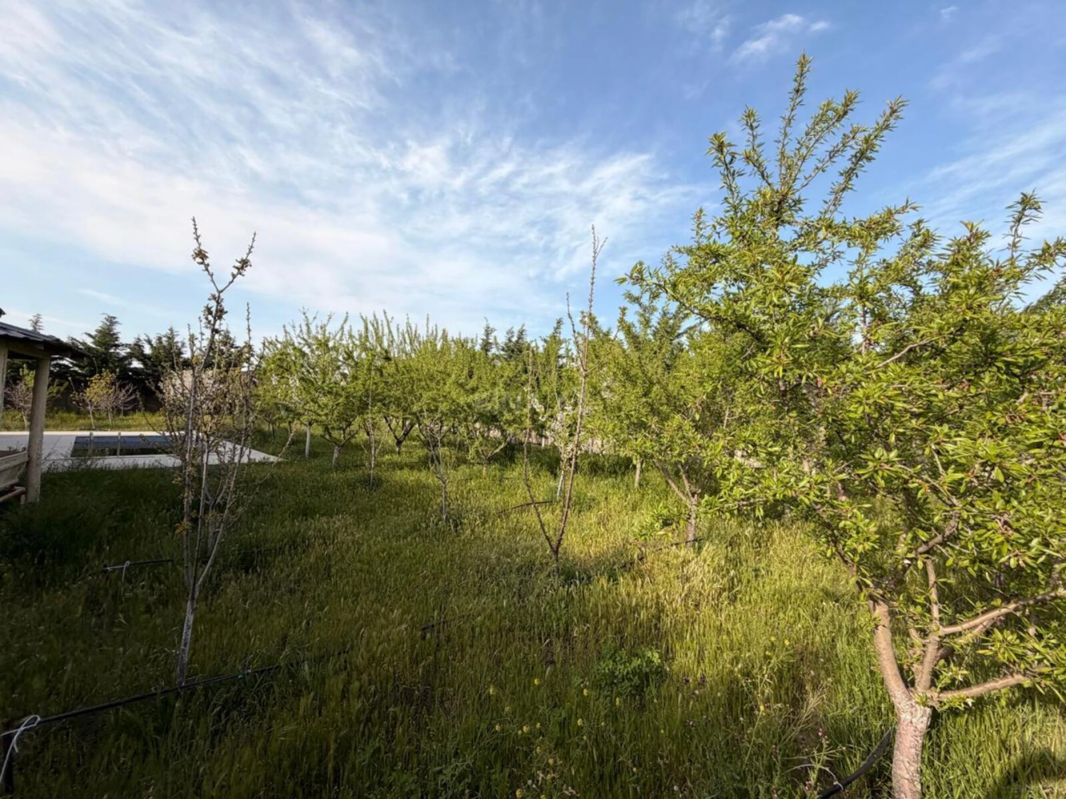 Satılır 3 otaqlı həyət evi 165 m²