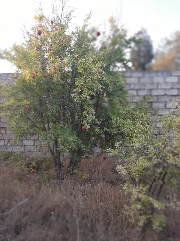 Satılır torpaq sahəsi 12 m²