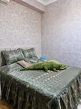 Satılır 3 otaqlı mənzil 75 m²