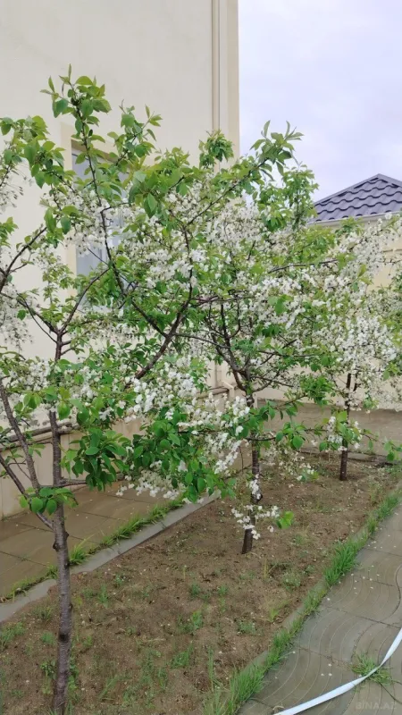 Satılır 7 otaqlı həyət evi 350 m²