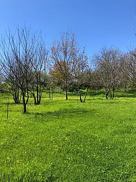 Satılır torpaq sahəsi 4 m²