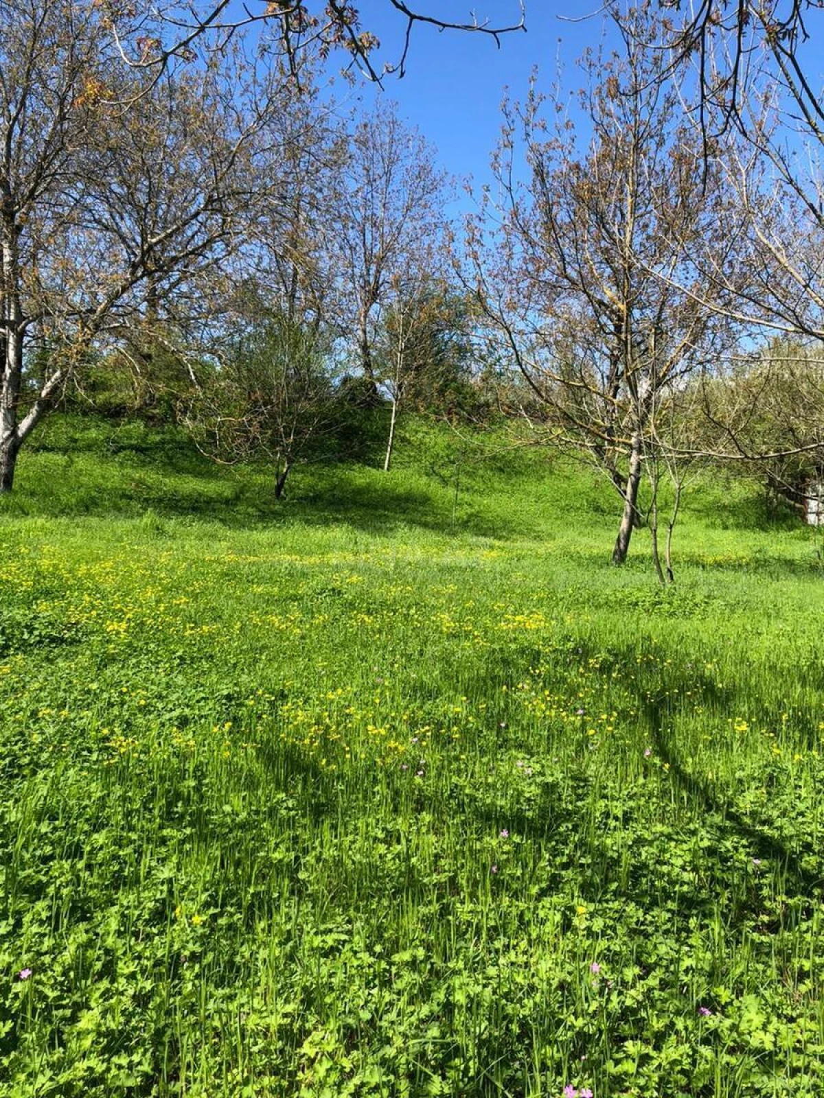 Satılır torpaq sahəsi 4 m²