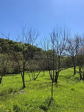 Satılır torpaq sahəsi 4 m²