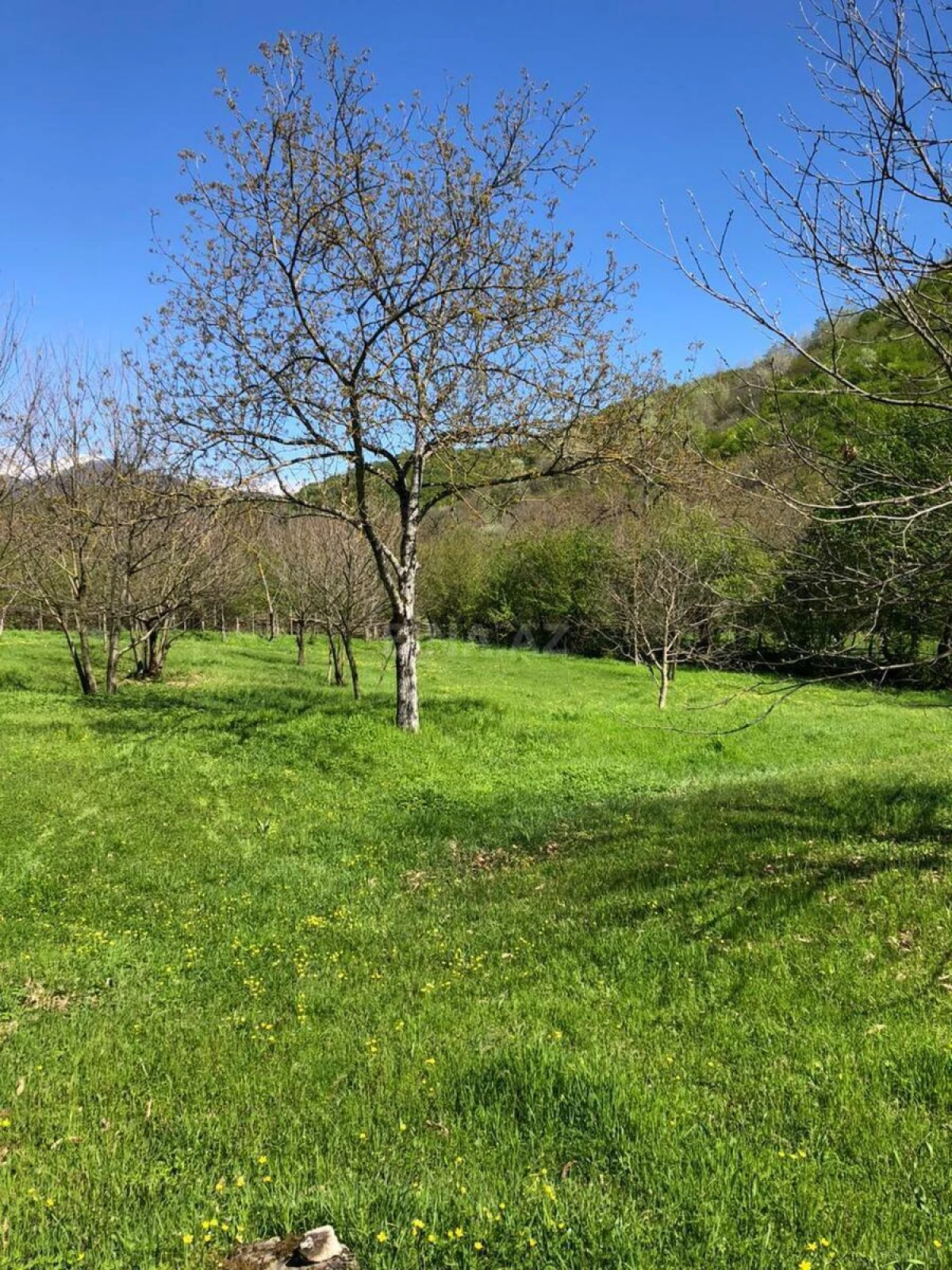 Satılır torpaq sahəsi 4 m²