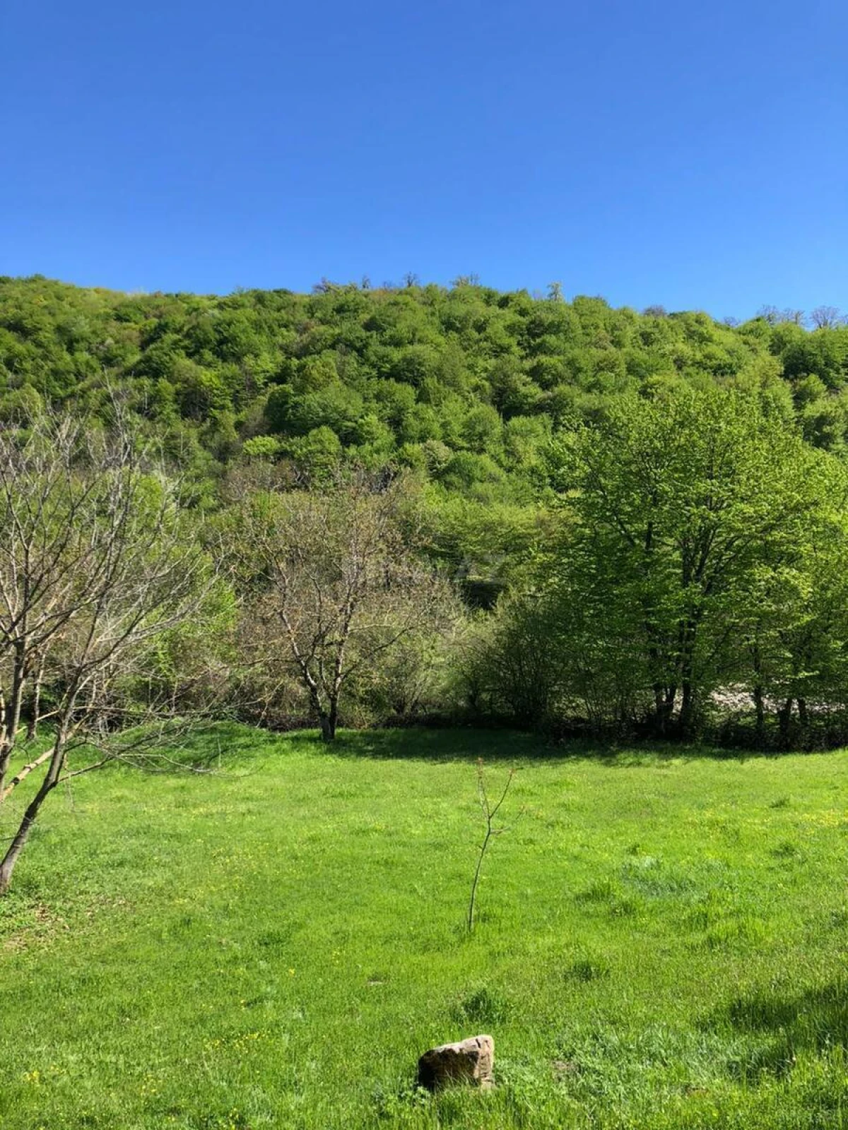 Satılır torpaq sahəsi 4 m²