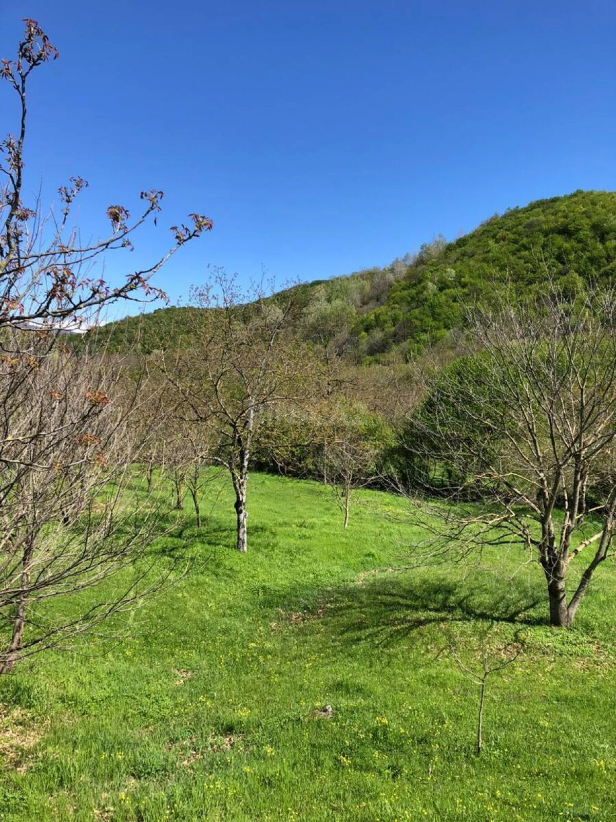 Satılır torpaq sahəsi 4 m²