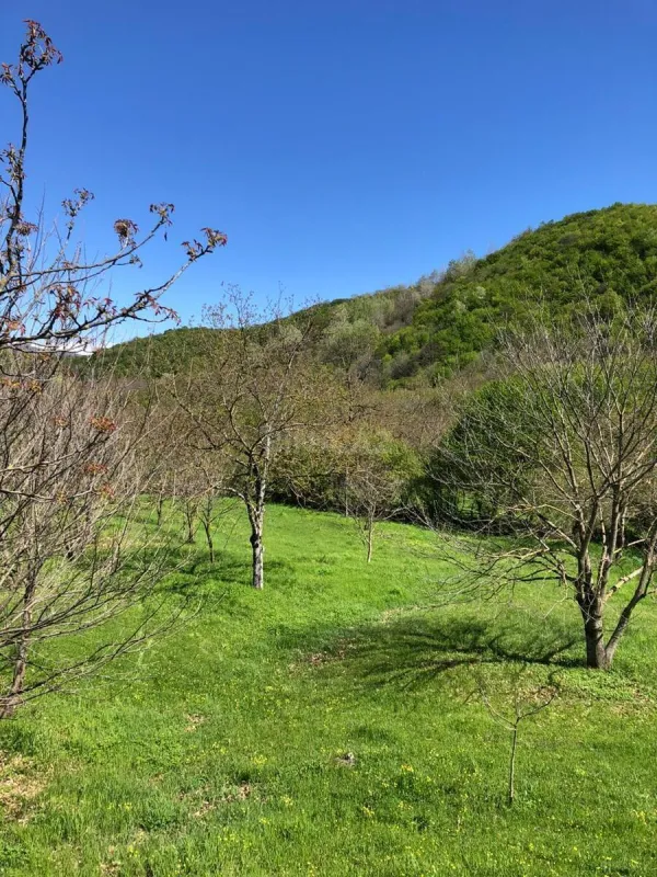 Satılır torpaq sahəsi 4 m²