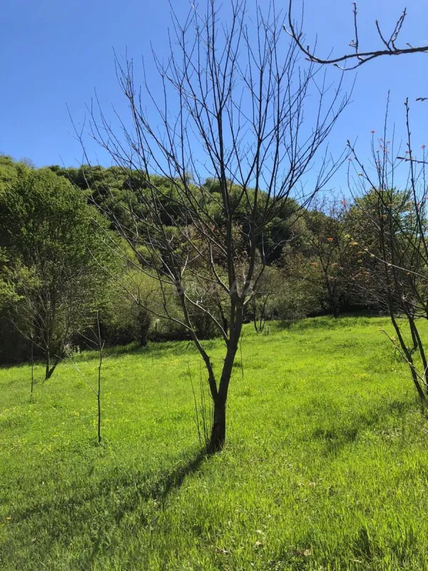 Satılır torpaq sahəsi 4 m²