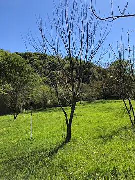 Satılır torpaq sahəsi 4 m²