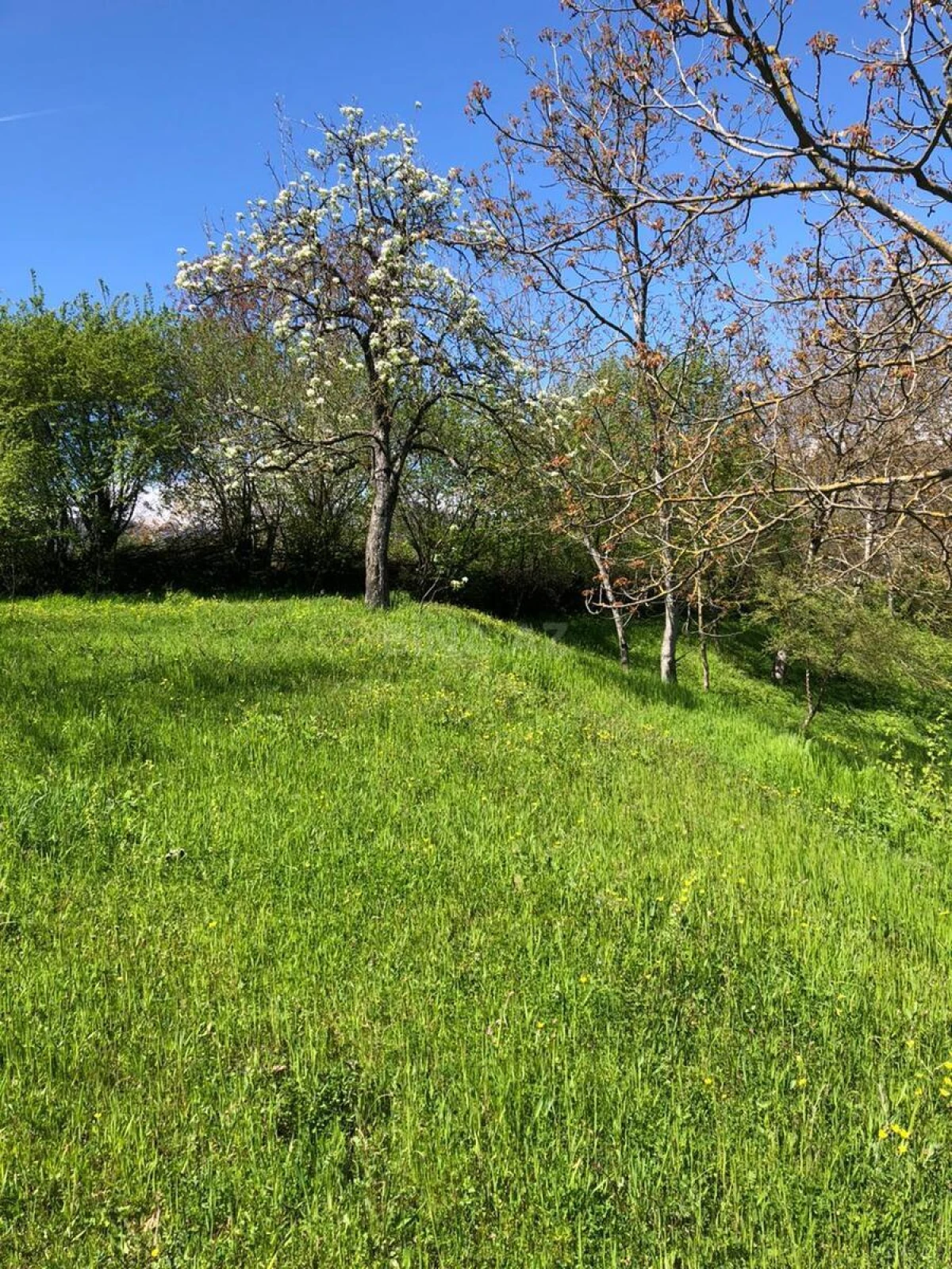 Satılır torpaq sahəsi 4 m²