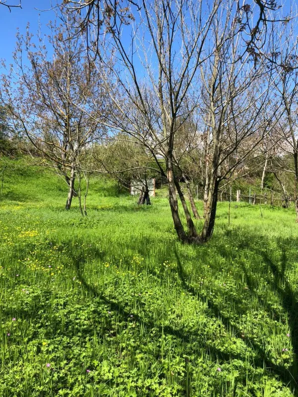 Satılır torpaq sahəsi 4 m²