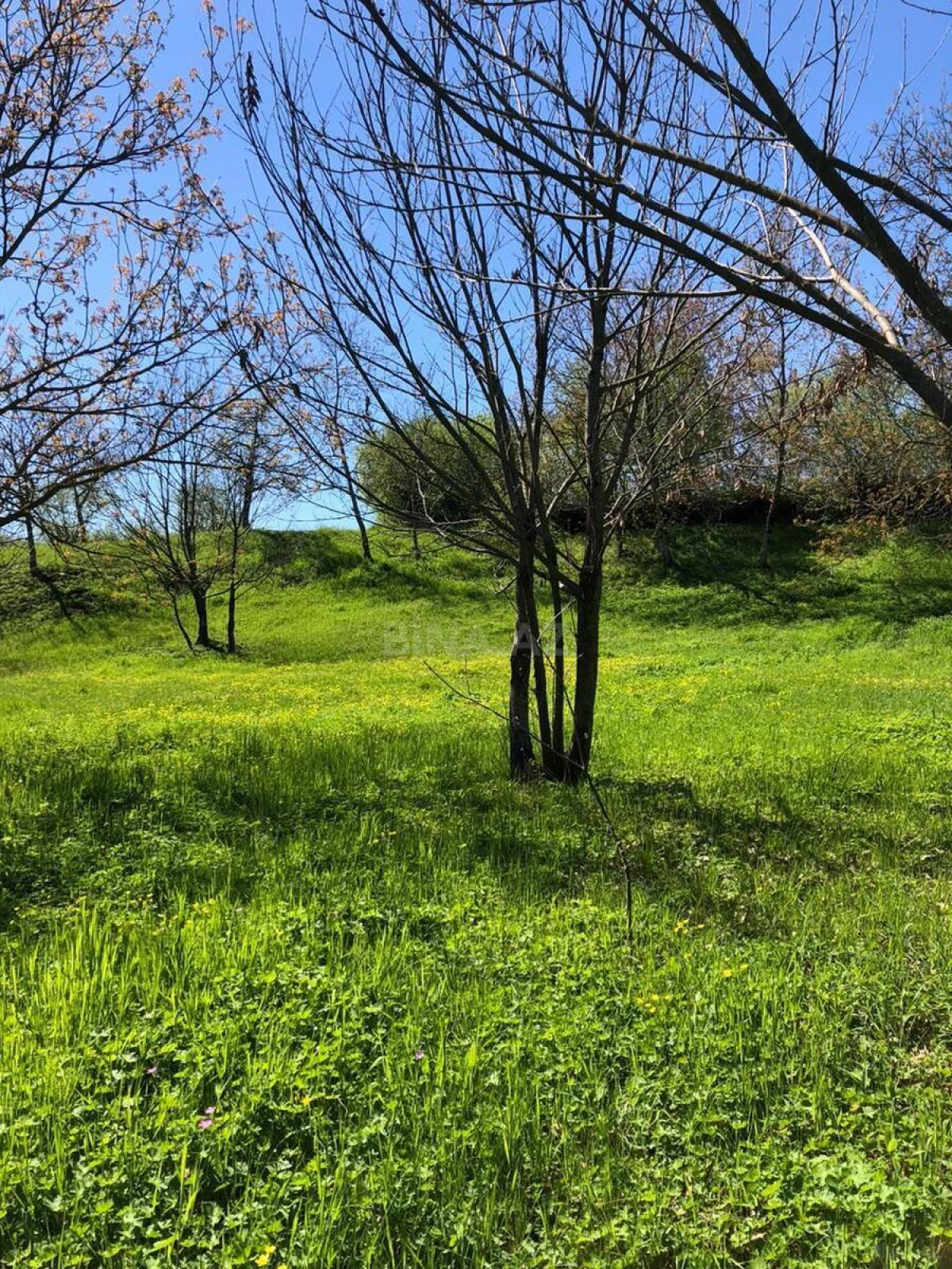 Satılır torpaq sahəsi 4 m²