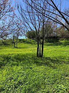 Satılır torpaq sahəsi 4 m² — Qəbələ 4.00 m²