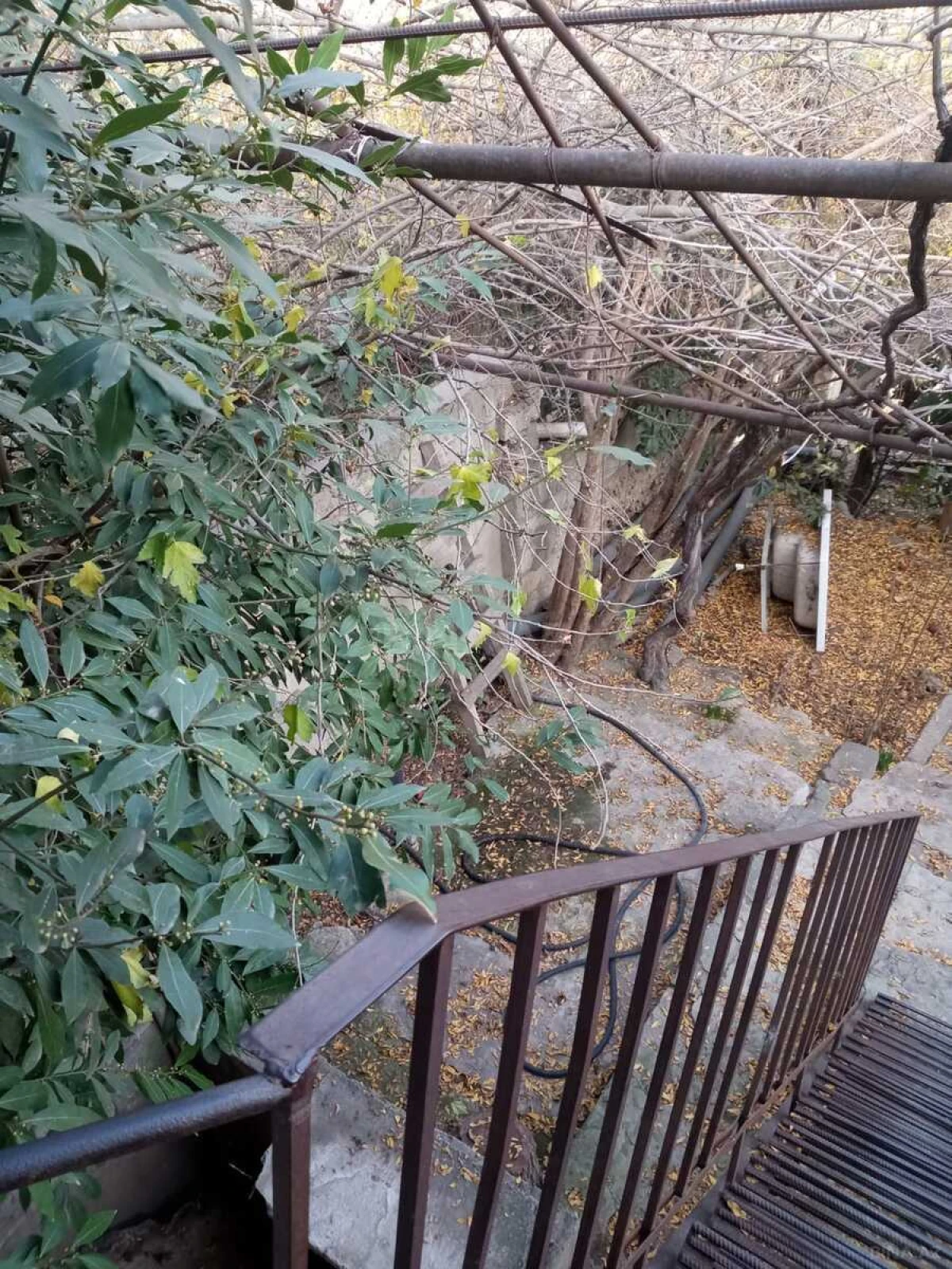 Kirayə verilir 2 otaqlı həyət evi 55 m²